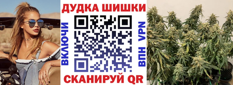 Каннабис SATIVA & INDICA  Эртиль 